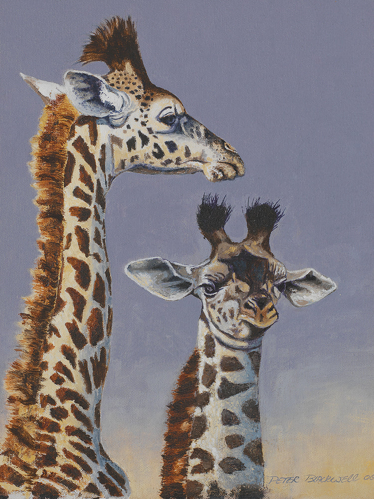 Two Young Giraffes