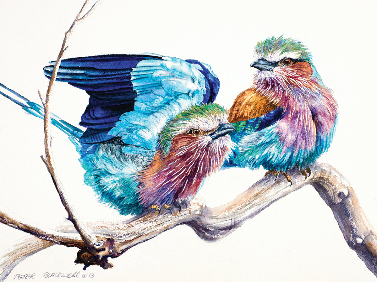 Vibrant Birds II