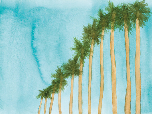 Blue Skies And Palm Trees Canvas Print