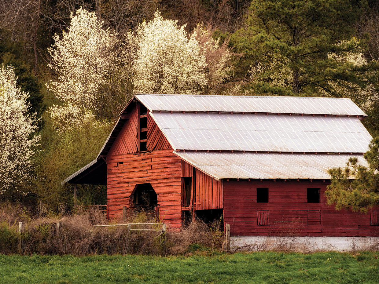 Skylight Red Barn