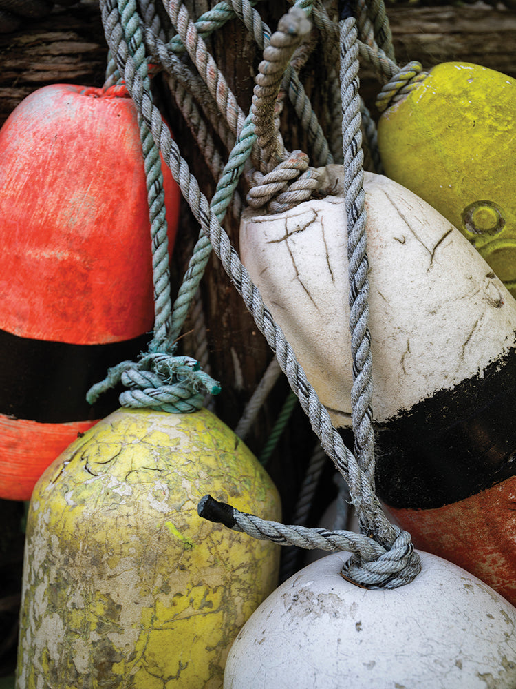 Parachoques de barco I Lienzo