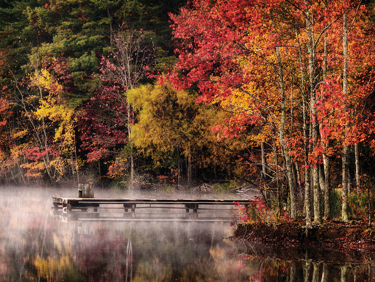Muelle de Woodland Lienzo