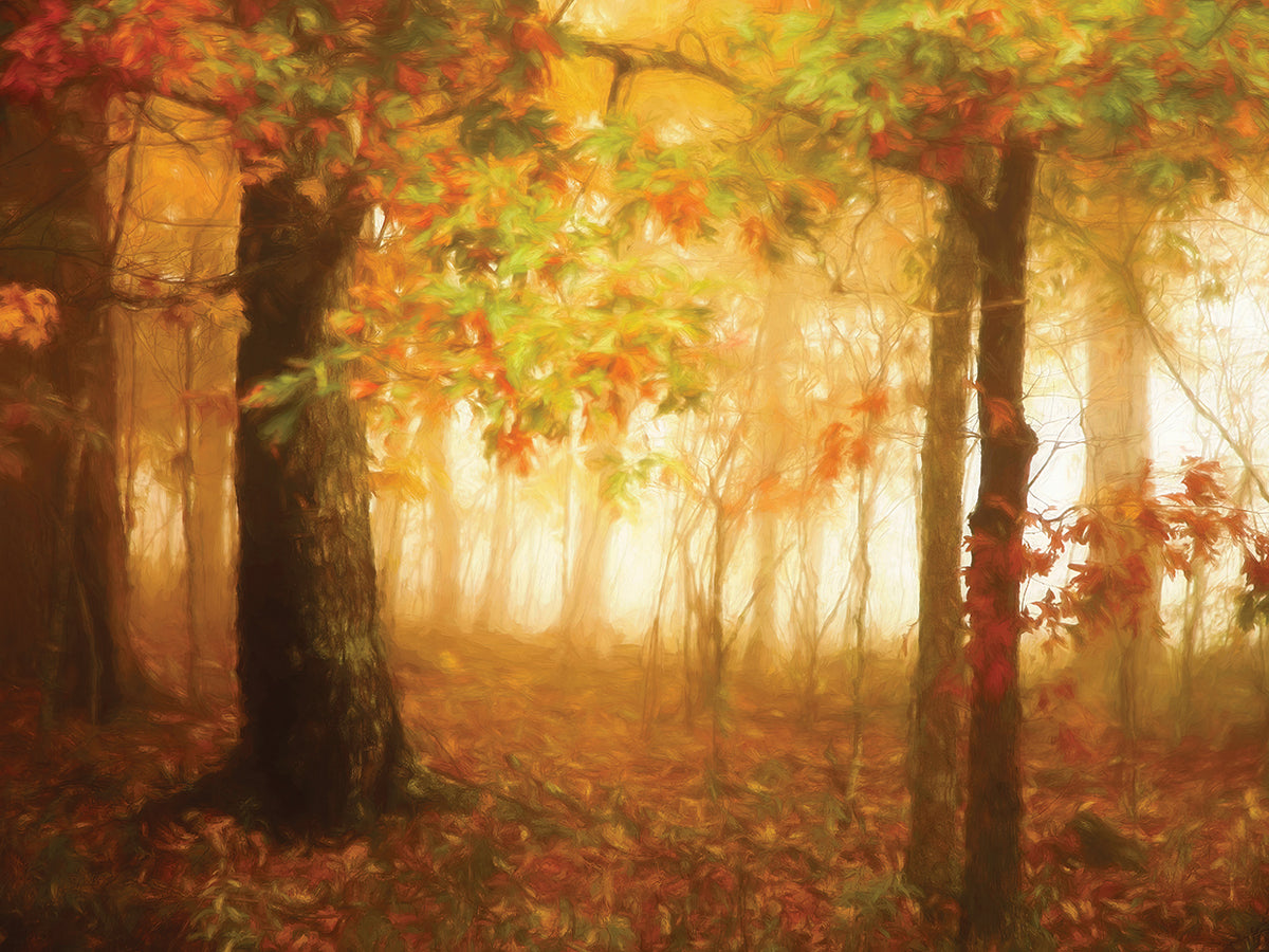 Autumn's Rainbow