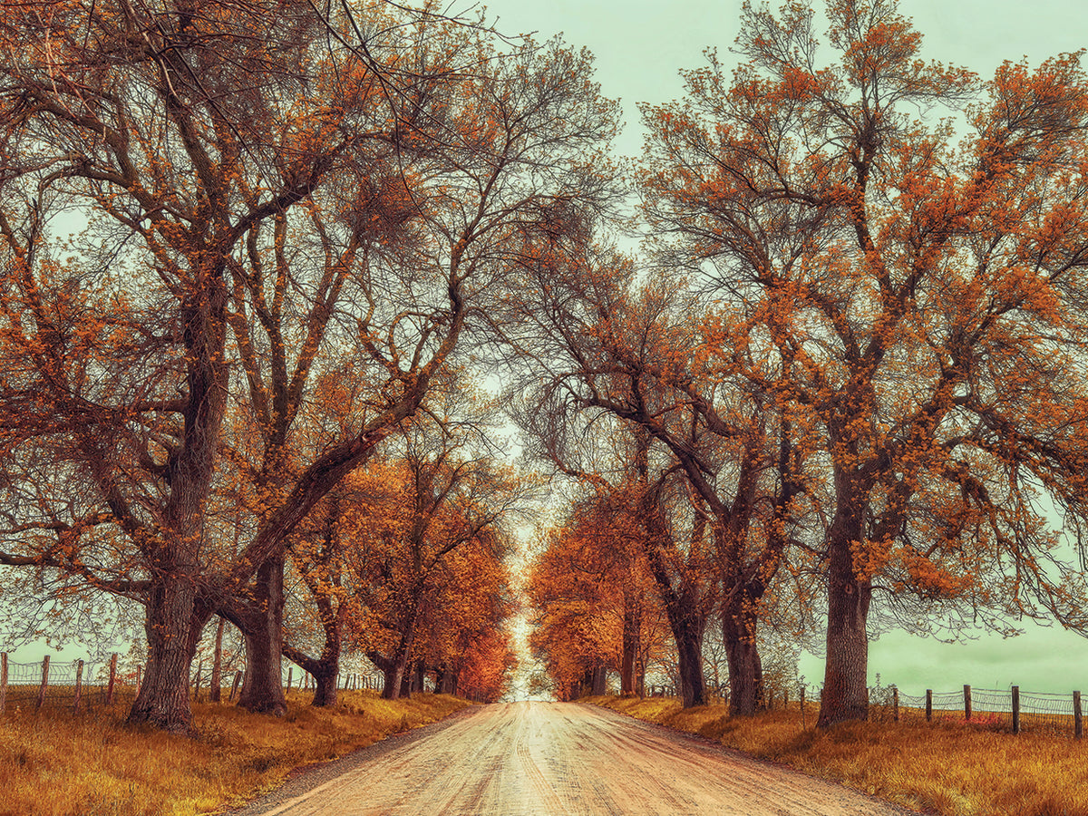 November Adventures