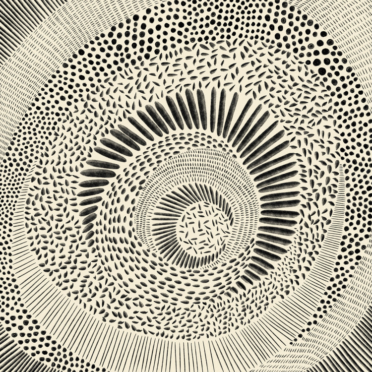 Hand Drawn Patterned Abstract