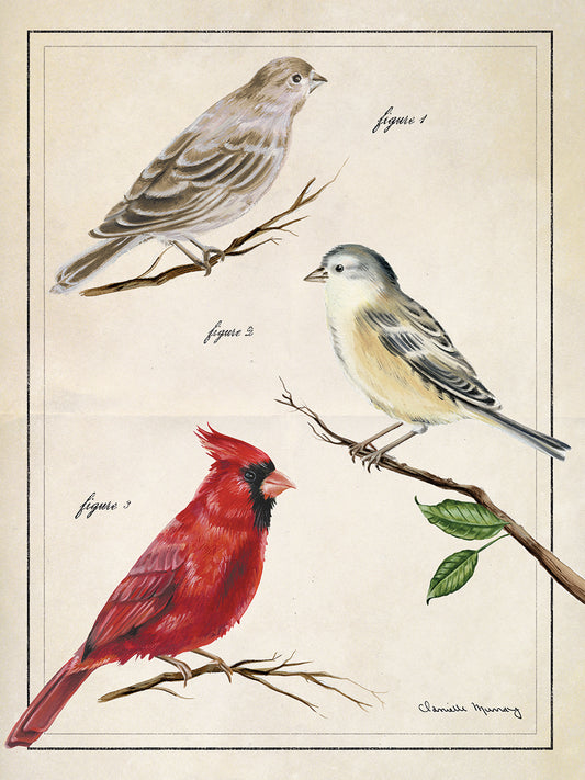 Botanical Birds 1