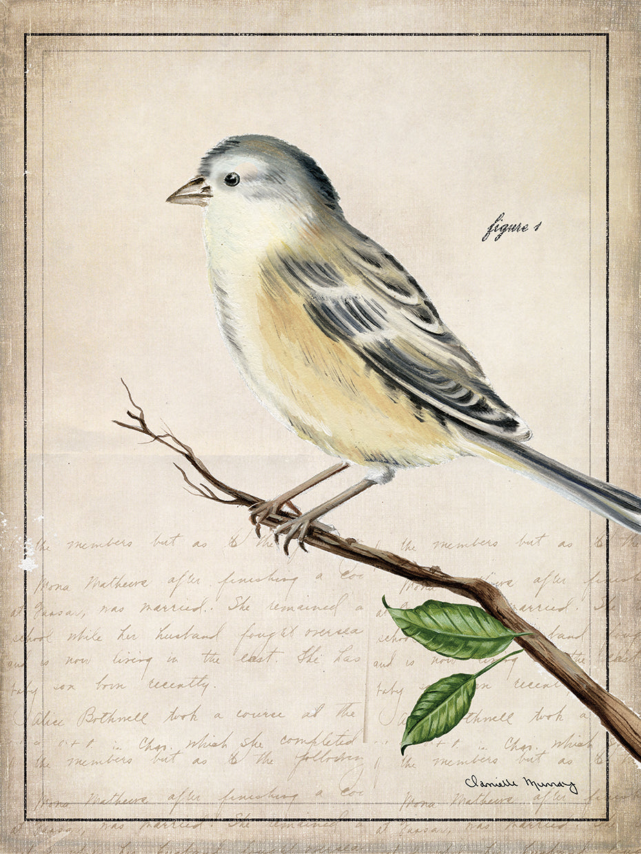 Botanical Birds 2