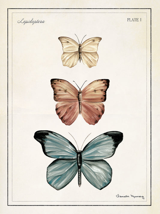 Botanical Butterfly Panel 3