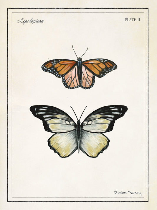 Botanical Butterfly Panel 4