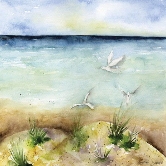 Coastal Dreaming 2 Canvas Print