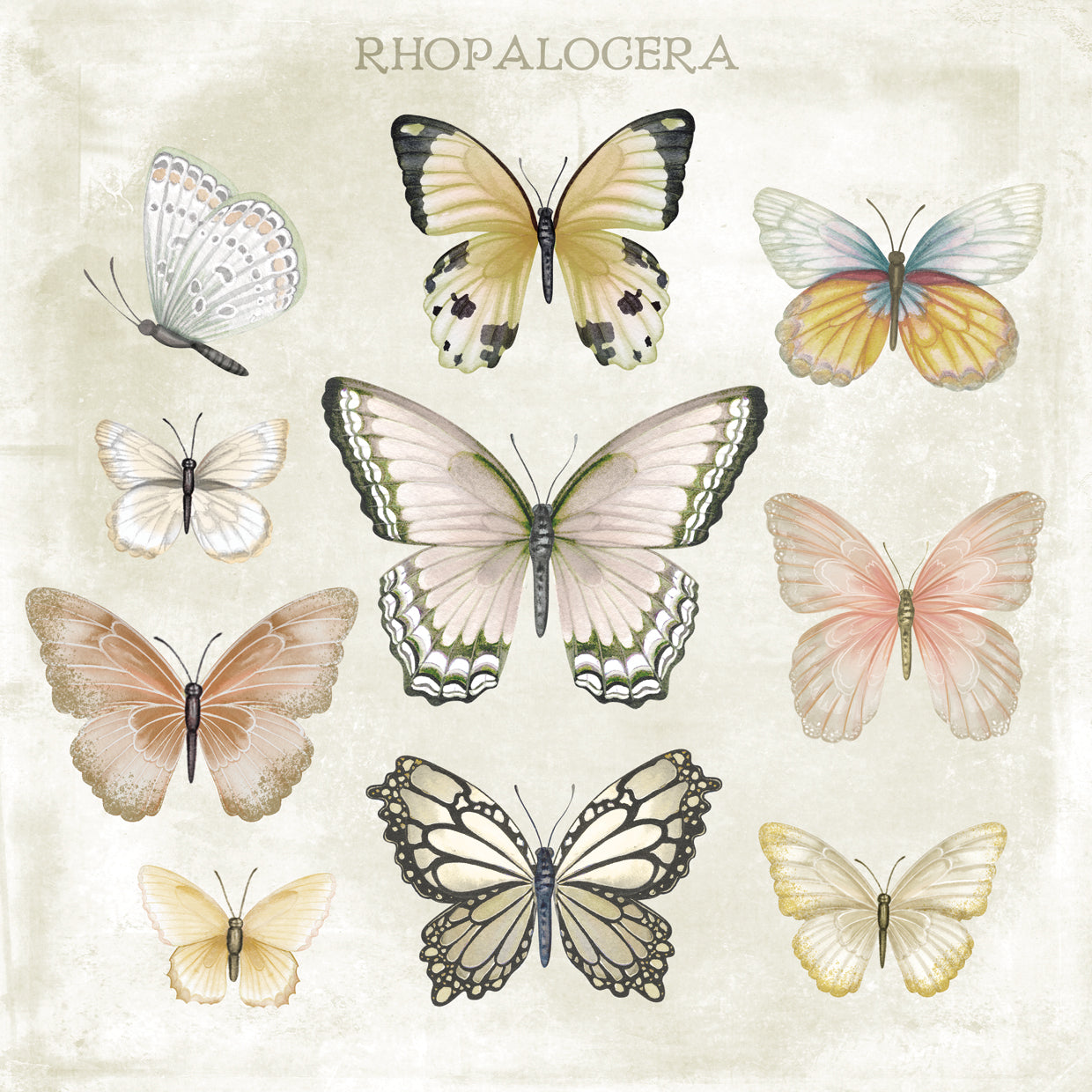 Panel de mariposa Lienzo