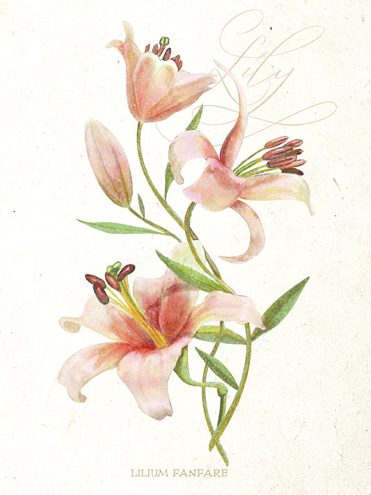Lily Botanical Canvas Print