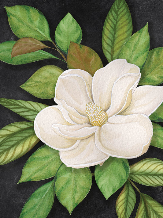 Magnolia Blossom 8 Canvas Print