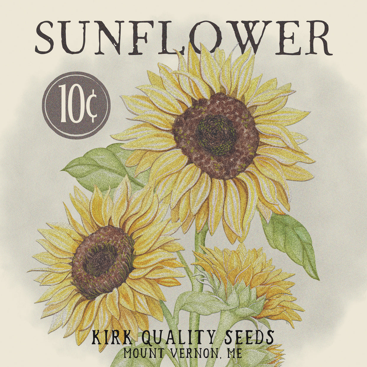 Paquete de semillas de girasol Lienzo