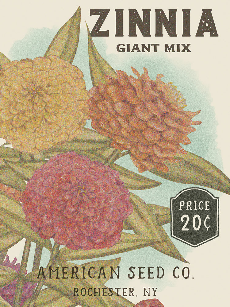 Zinnia Seed Packet 2