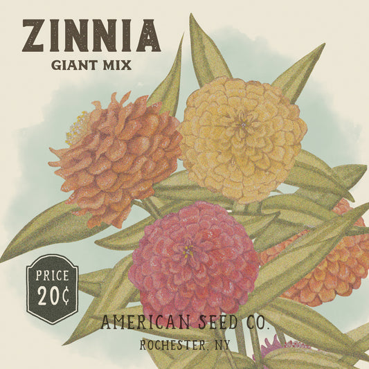 Zinnia Seed Packet