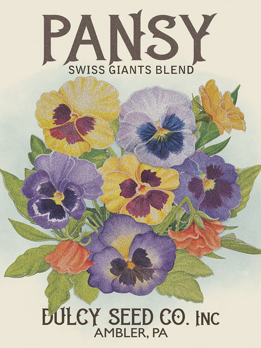 Pansy Seed Packet 3