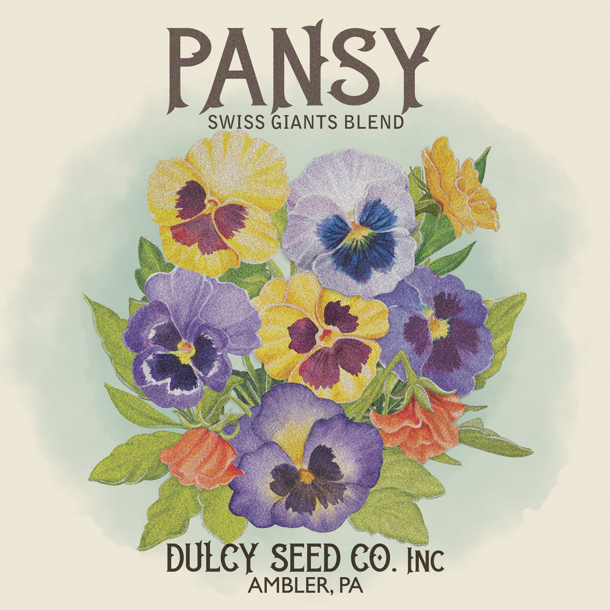 Pansy Seed Packet