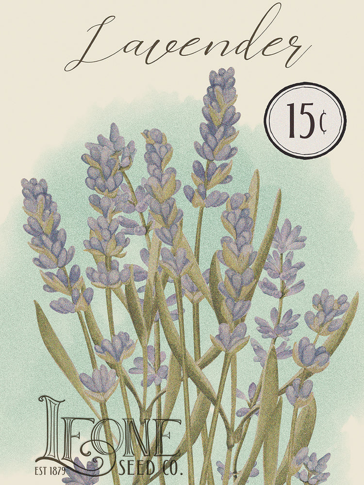 Lavender Seed Packet