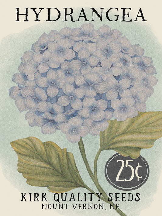 Hydrangea Seed Packet 9 Canvas Print