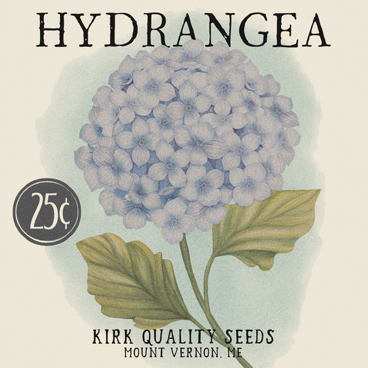Hydrangea Seed Packet