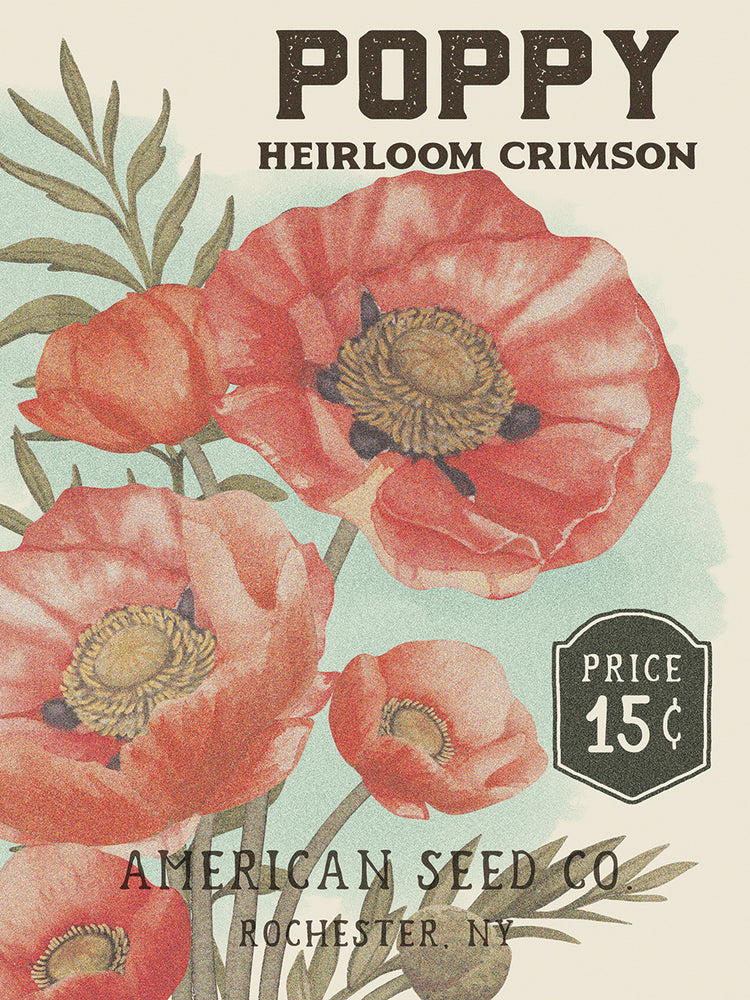 Poppy Seed Packet 10