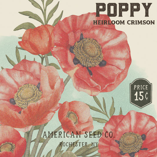 Poppy Seed Packet Canvas Print
