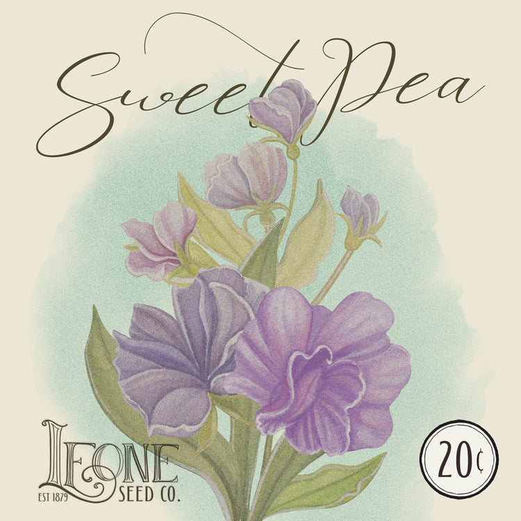 Sweet Pea Seed Packet