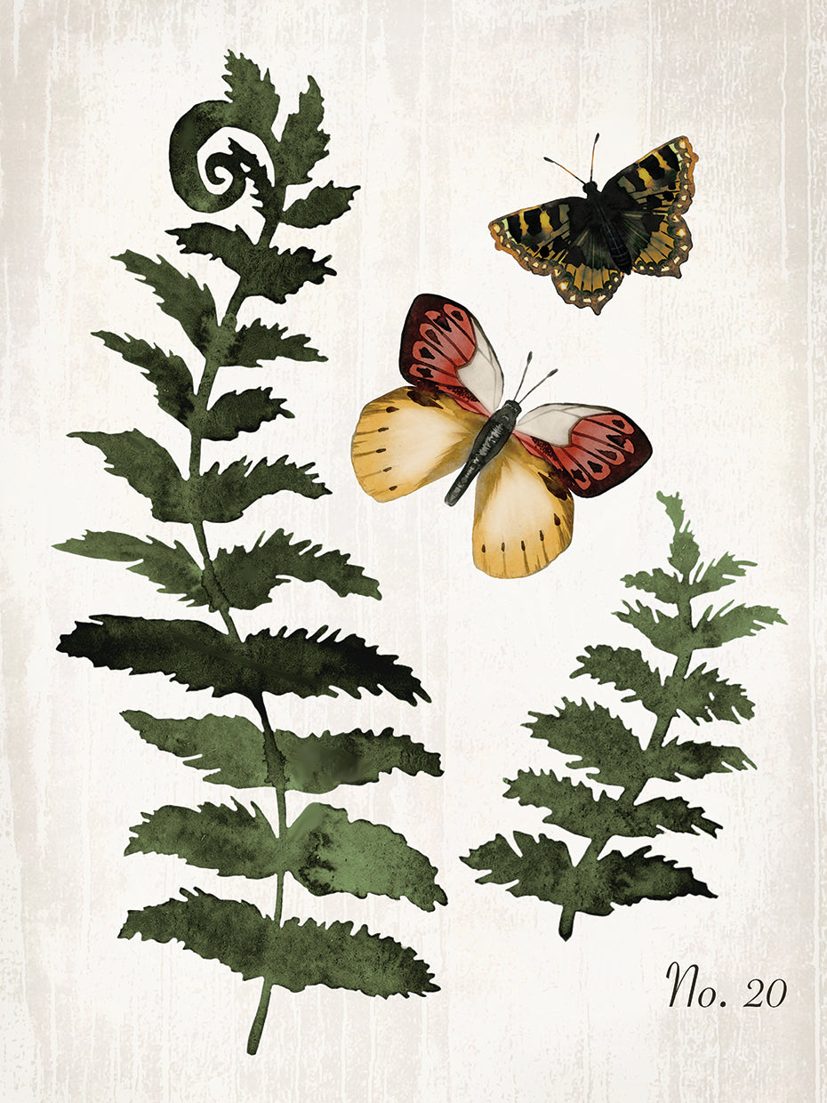 Butterfly Trio 2