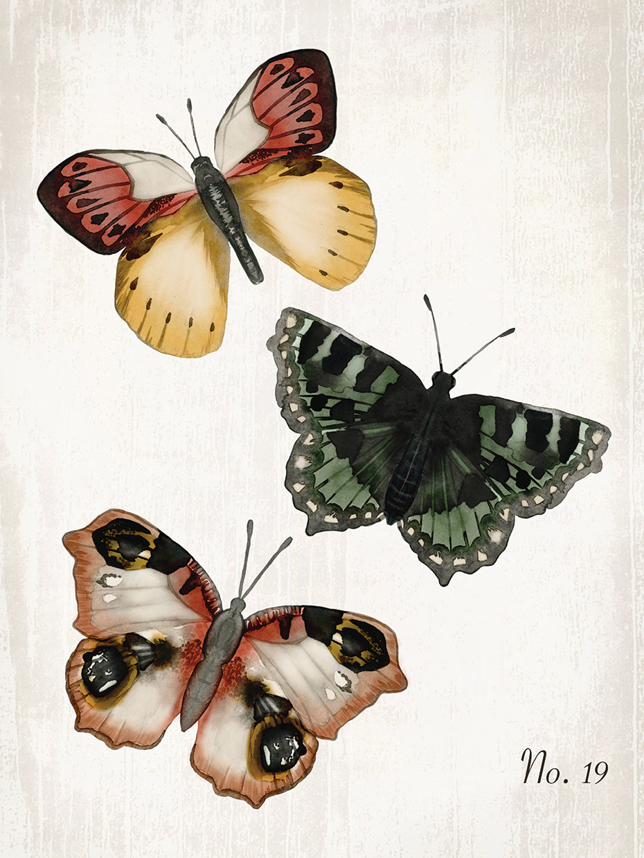 Butterfly Trio 3