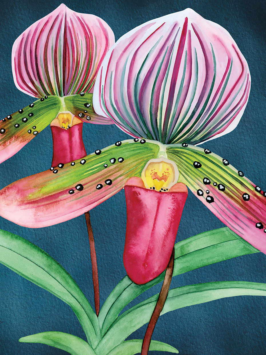 Orchid Garden 3