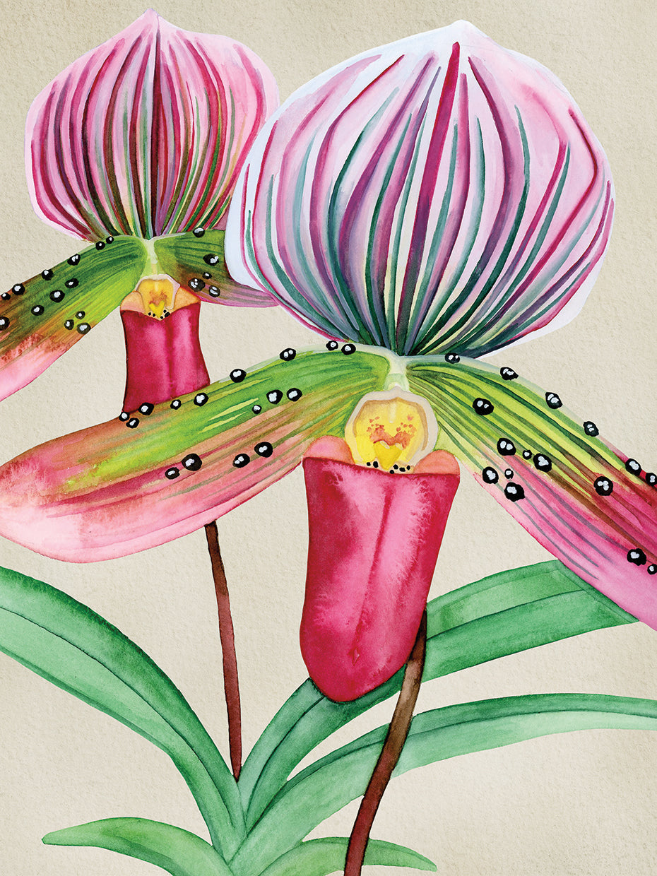 Orchid Garden 4