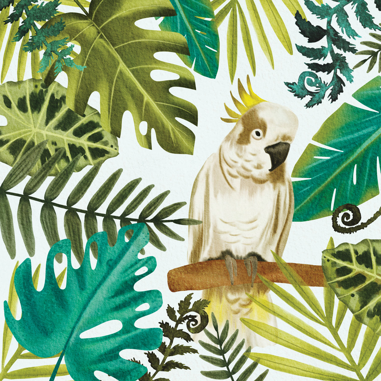Pájaro tropical Lienzo