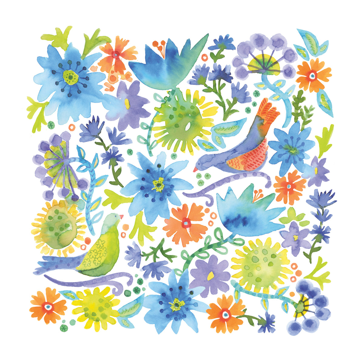 Colorful Plumage 2