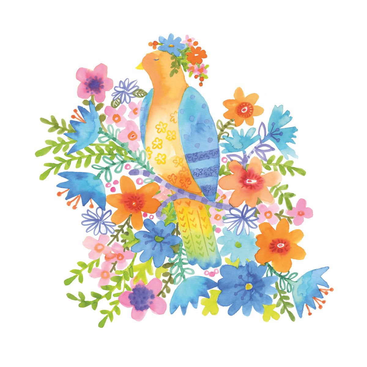 Colorful Plumage 4