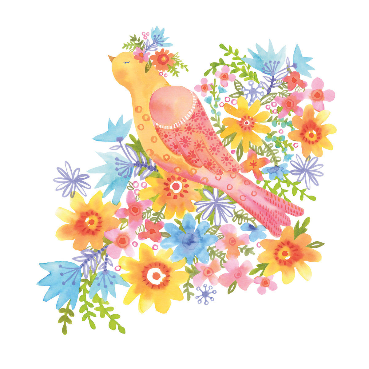 Colorful Plumage 5