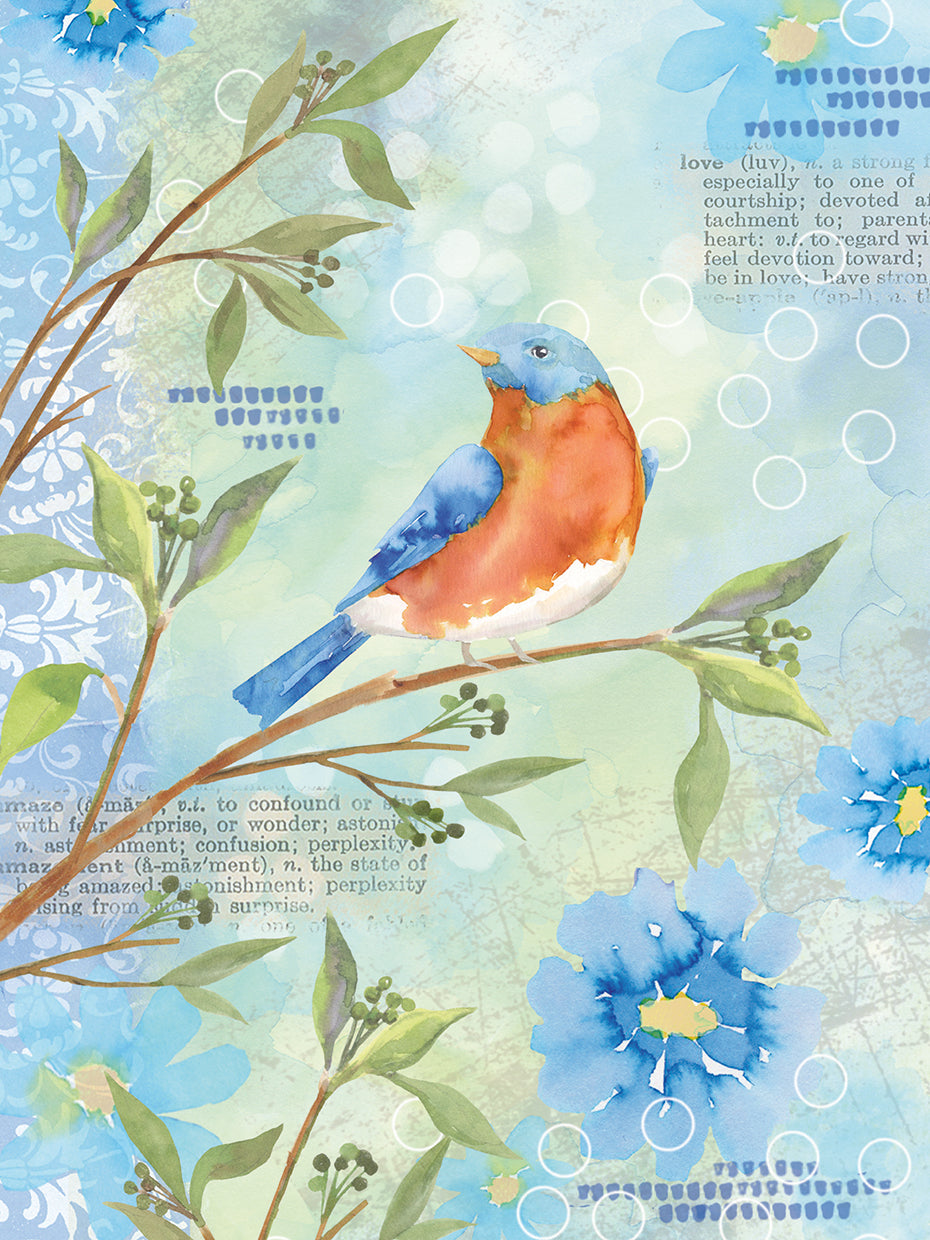 Feathered Friends 3