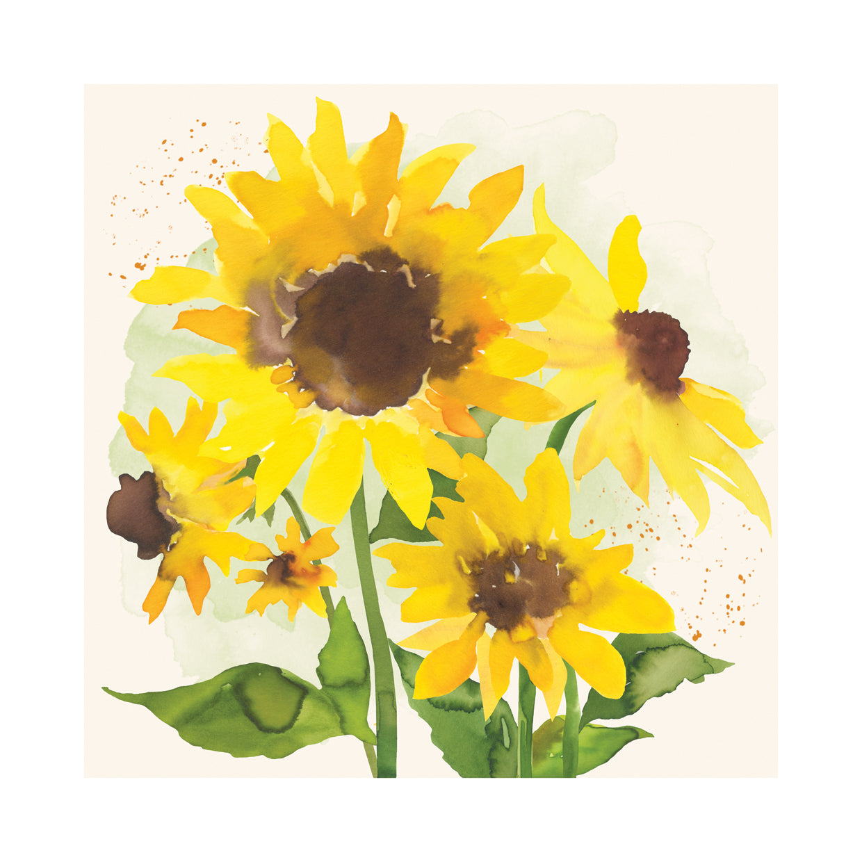 Sunflower Garden 4