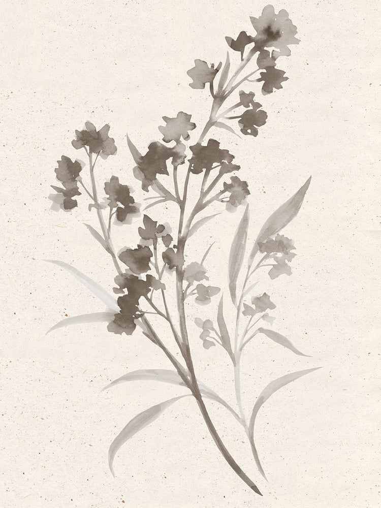 Taupe Floral Botanical 1