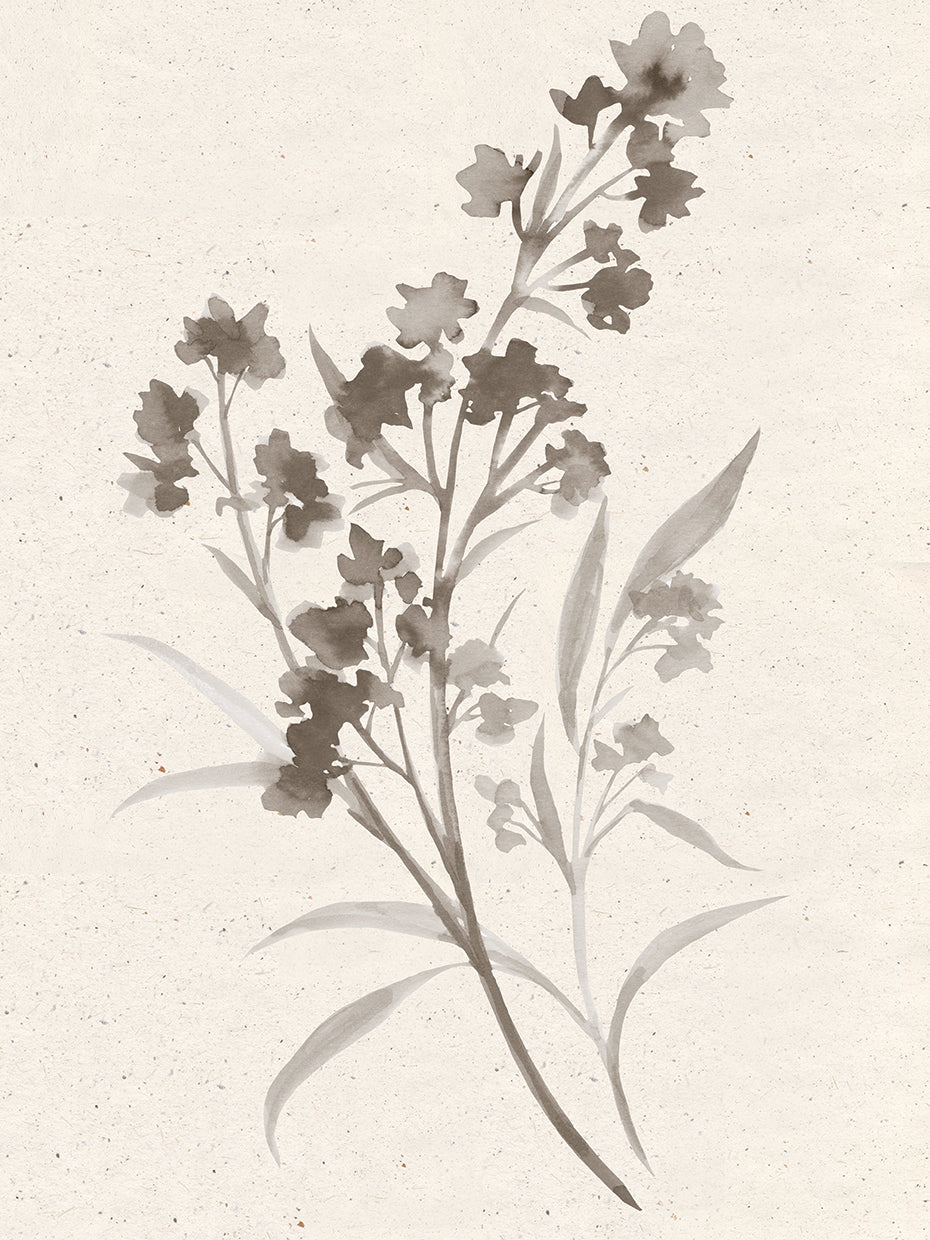 Taupe Floral Botanical 1