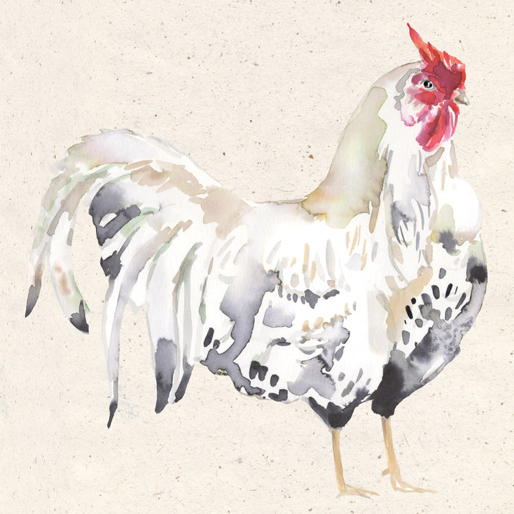 Watercolor Rooster 1