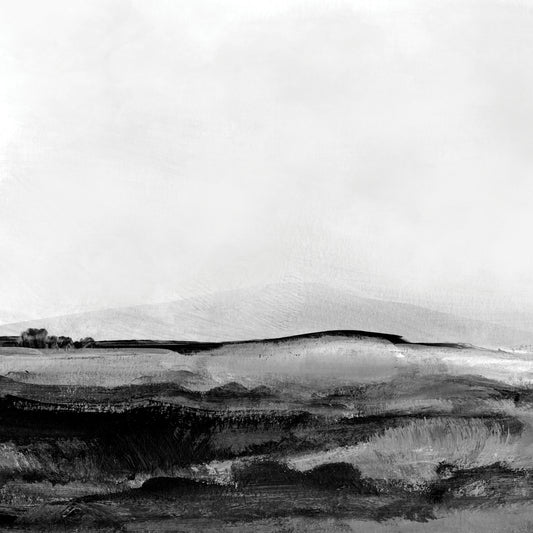 Mono-landscape 1 Canvas Print