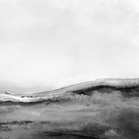 Mono-landscape 2 Canvas Print
