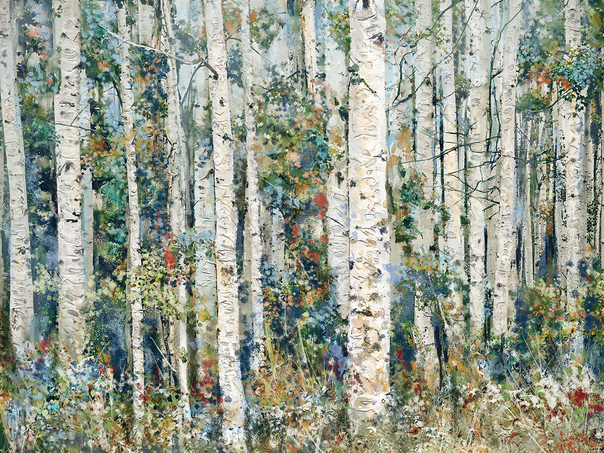 Painted Forest