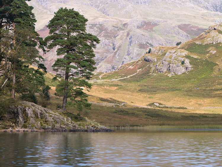 AF20090926 Lake District 772