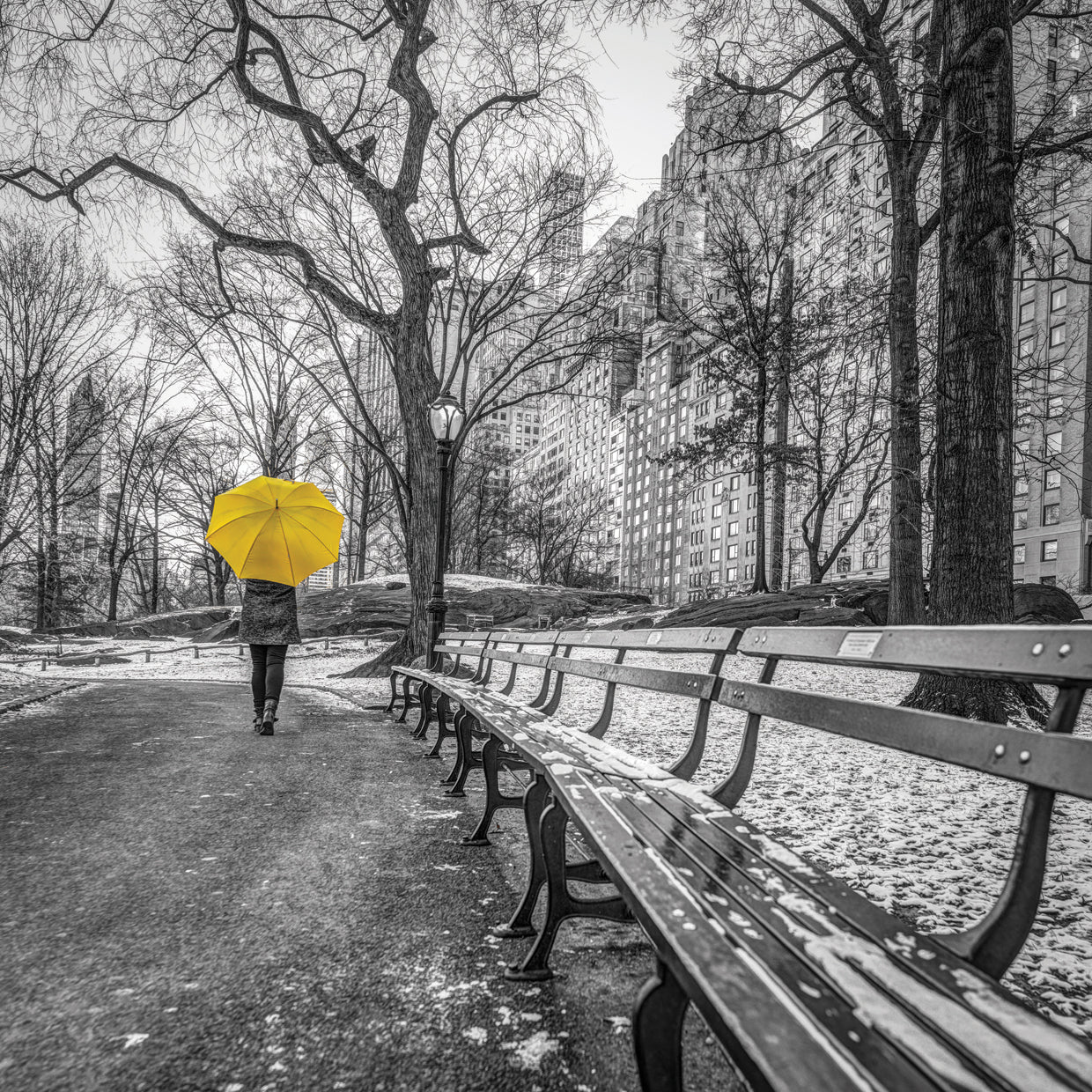 AF20160118 New York 794XC03