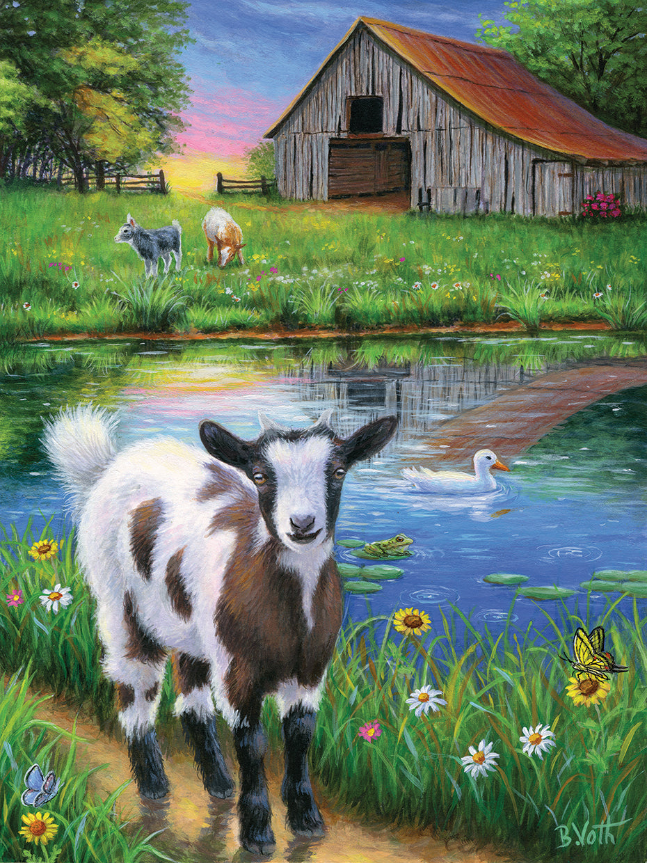 Sammy's Summer Day