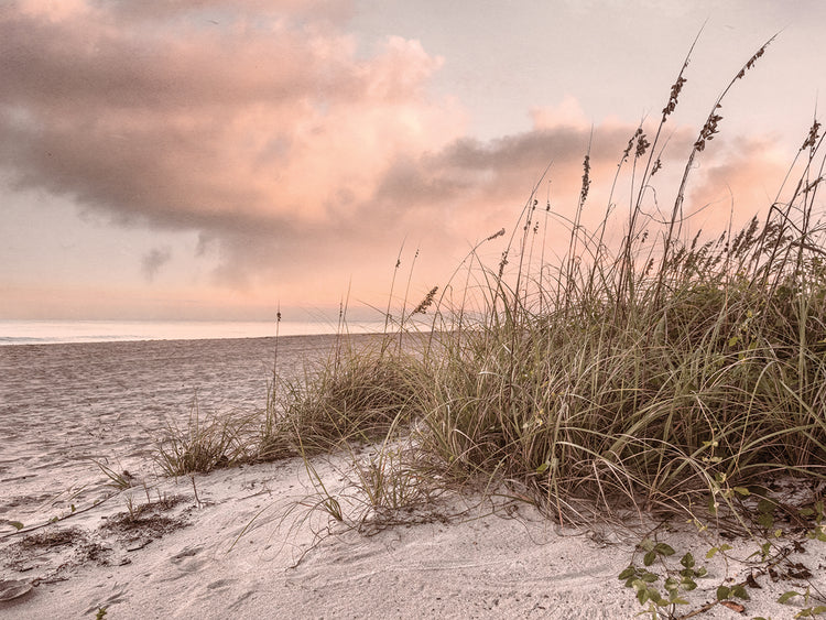 Sunrise Light over the Cottage Dunes