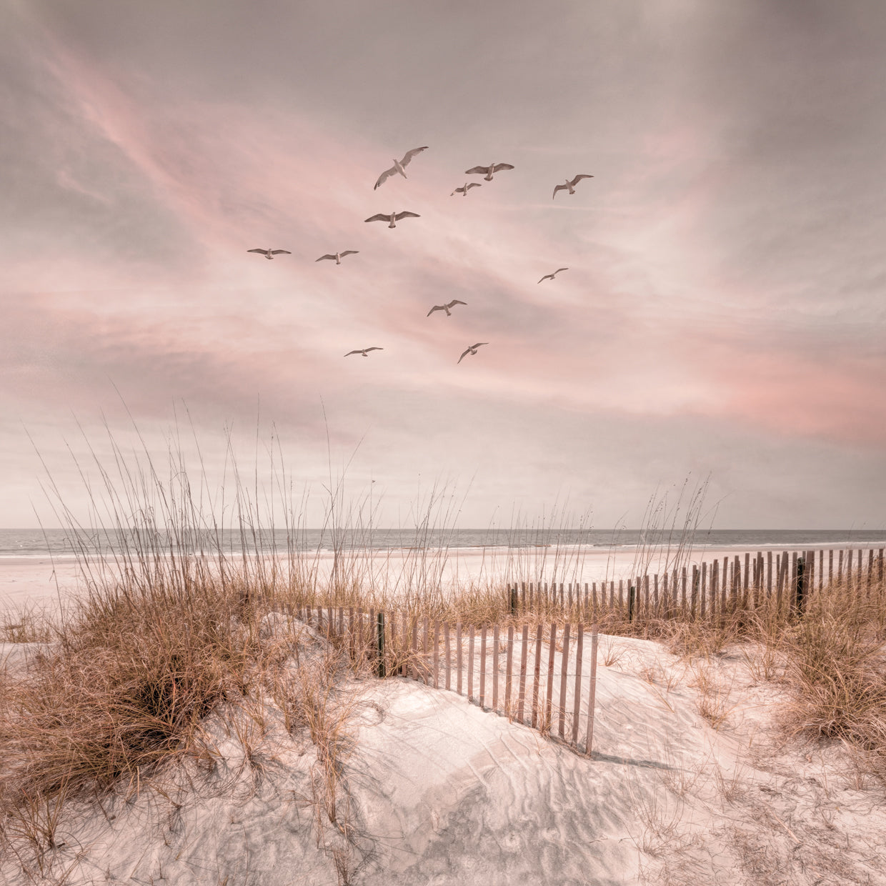 Beach Fences on the Cottage Sand Dunes in Square