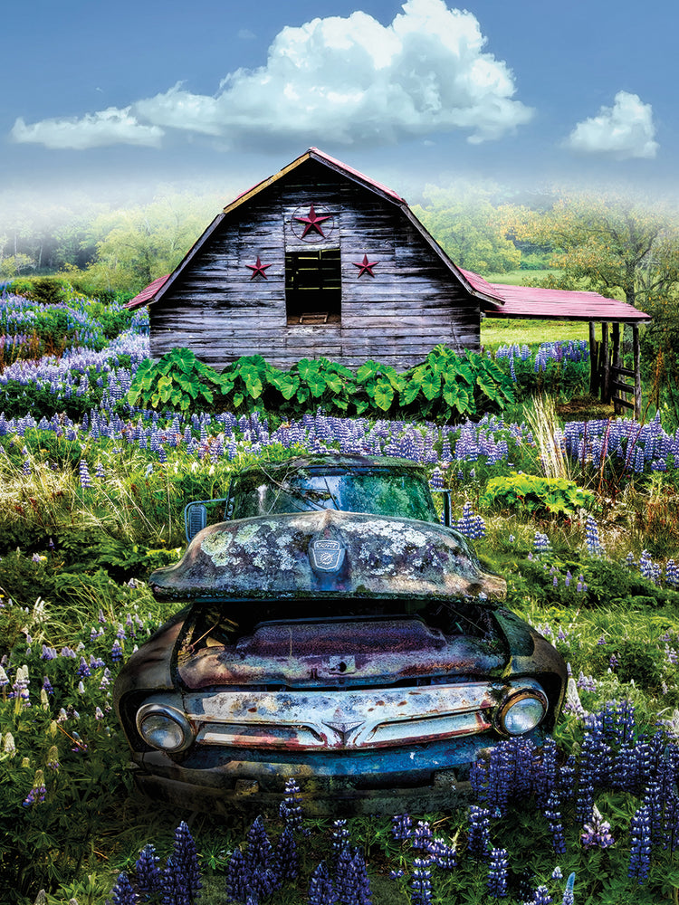 Rusty Ford by the Star Barn